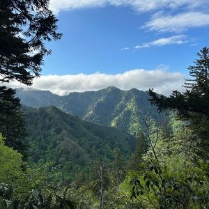 Meet your Posher, Adam